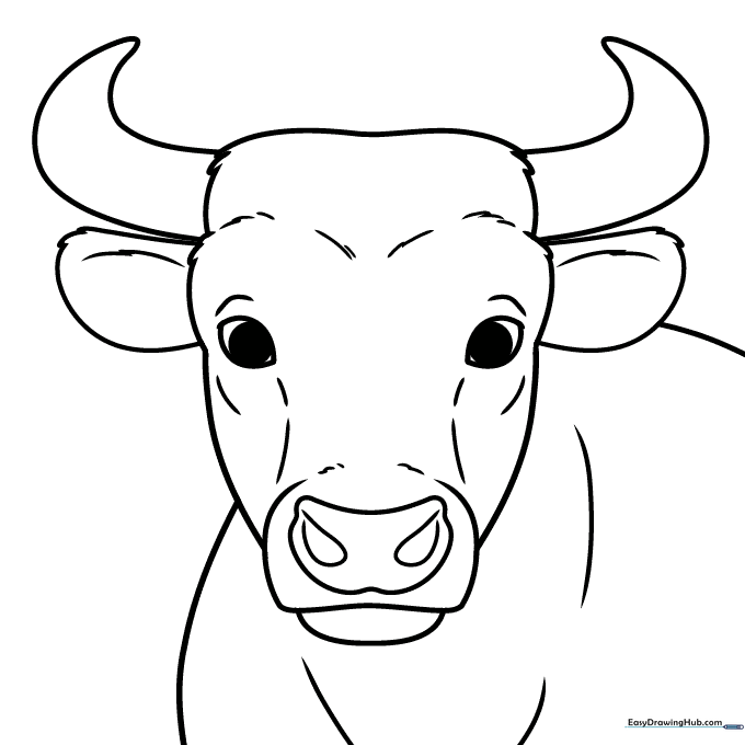Black and white line art of a friendly bull head with large horns and expressive eyes, ready for coloring.