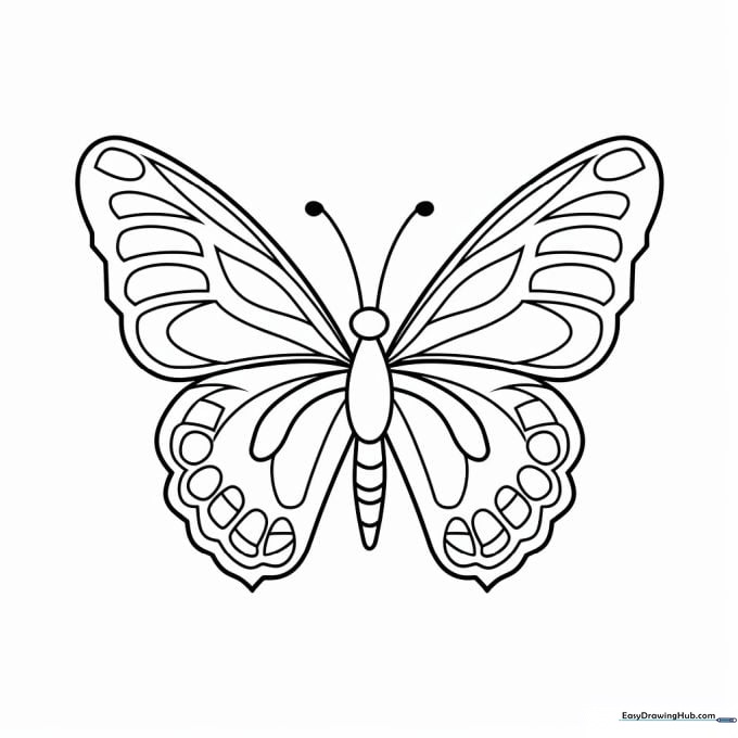Black and white line art of a butterfly with detailed, realistic wing patterns, designed for coloring practice.