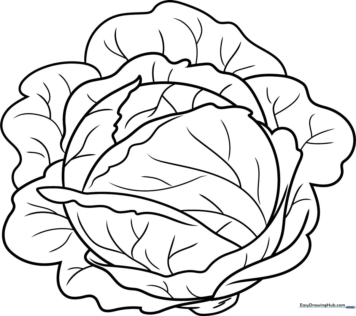 Black and white line art of a round cabbage with layered, curly leaves, perfect for children to color.