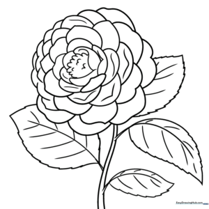 Black and white line art of a blooming camellia flower with layered petals and leaves, designed for children to color.