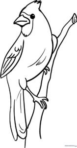 Detailed line art of a cardinal bird perched on a branch, featuring clear outlines for easy coloring and educational practice.