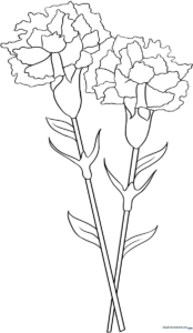 Black and white line art of a single carnation flower with ruffled petals and a long stem, designed for children to color.