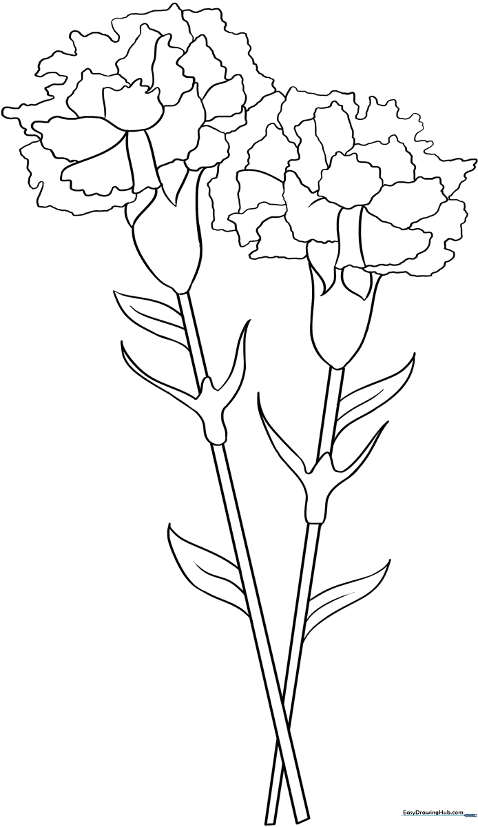 Black and white line art of a single carnation flower with ruffled petals and a long stem, designed for children to color.