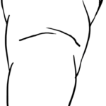 Black and white line art of a garden carrot with leafy green tops, designed for children to color.