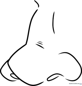 Black and white line art of a simple cartoon nose with rounded nostrils, perfect for children to practice coloring and shading techniques.