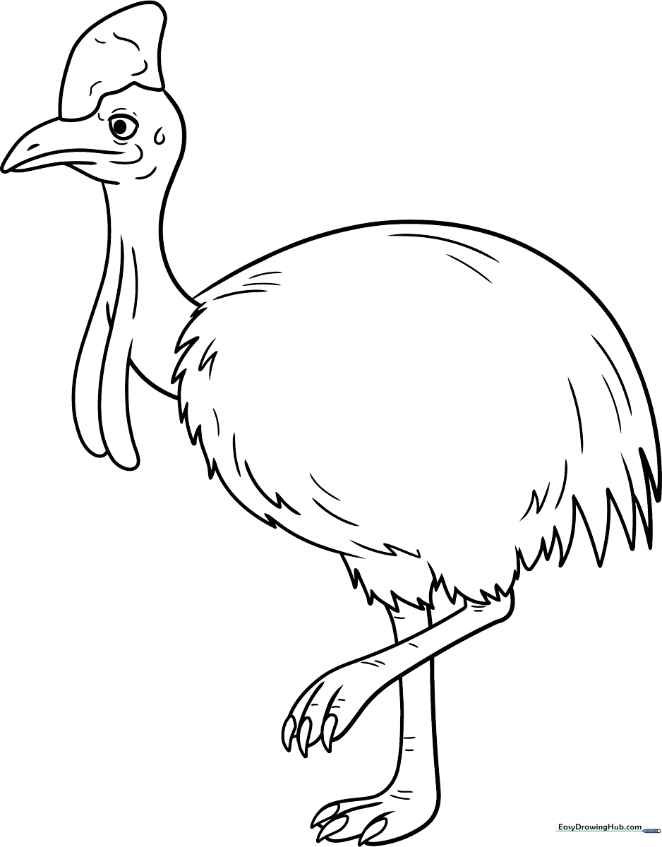 Black and white line art of a Cassowary bird with a prominent casque on its head, designed for children to color.