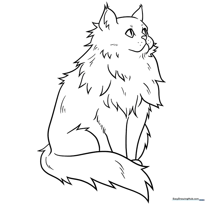 Fluffy Persian Cat Coloring Sheet
