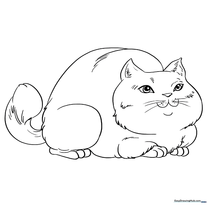 Fat Cat Coloring Sheet