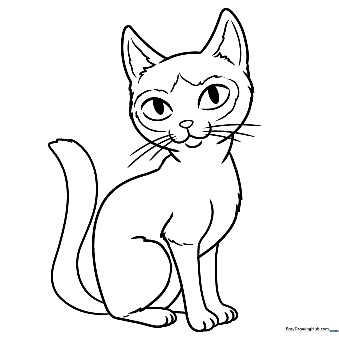 Siamese Cat Coloring Sheet