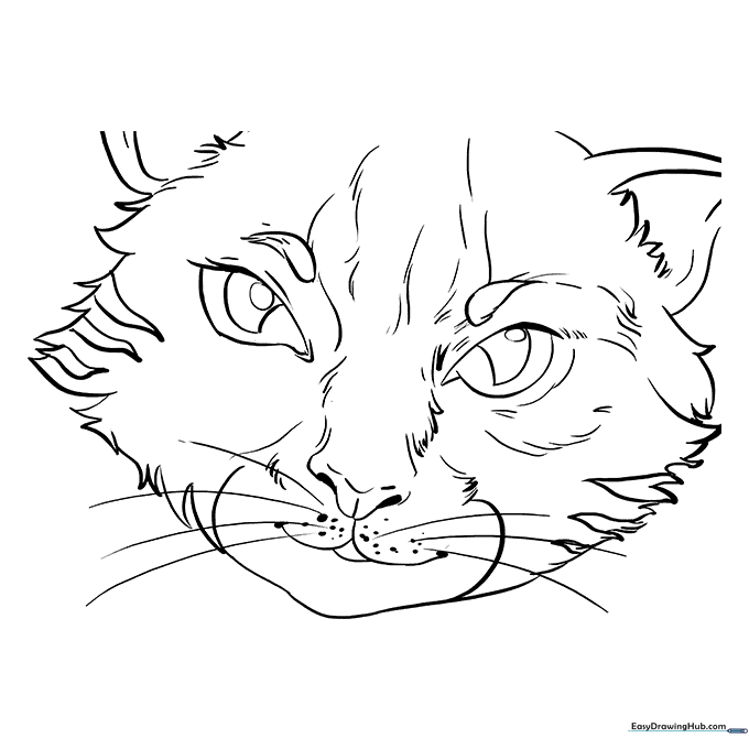 Cat Eyes Coloring Sheet