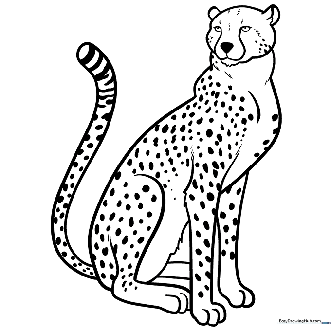 Cheetah Coloring Sheet