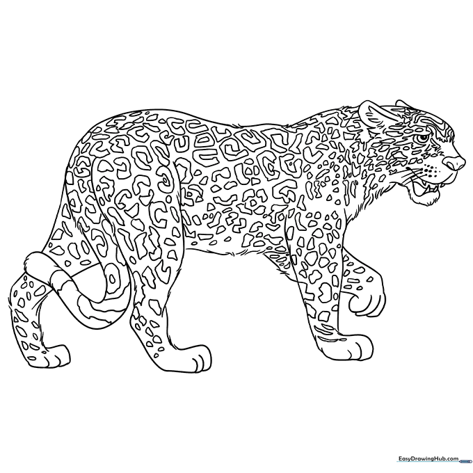 Jaguar Coloring Sheet