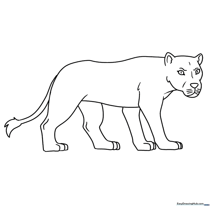 Lioness Coloring Sheet