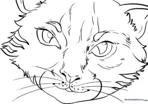 Close-up line art of a cat's eyes with detailed pupils and iris patterns, designed for coloring and shading practice.