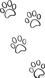 Black and white line art of four cat paw prints arranged in a playful trail, featuring rounded toe pads and a large central pad.