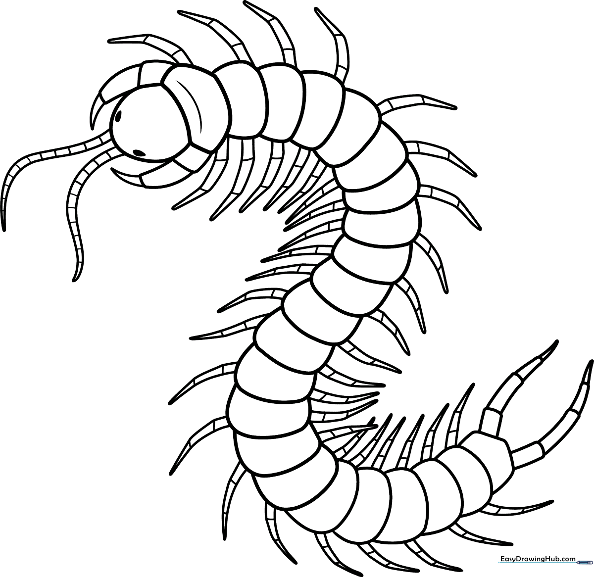 Black and white line art of a friendly cartoon centipede with many legs and segments, ready for children to color.