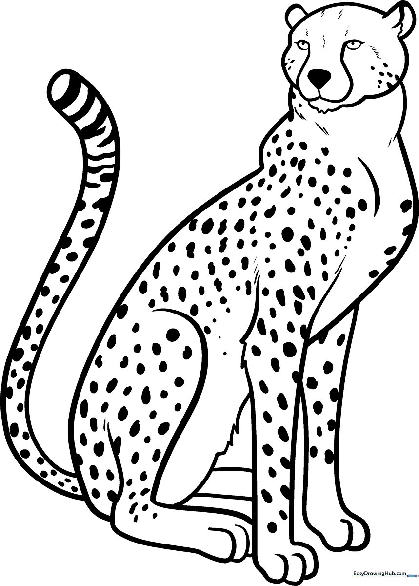 Detailed line art of a cheetah standing in profile, featuring clear outlines for coloring spots and facial features.