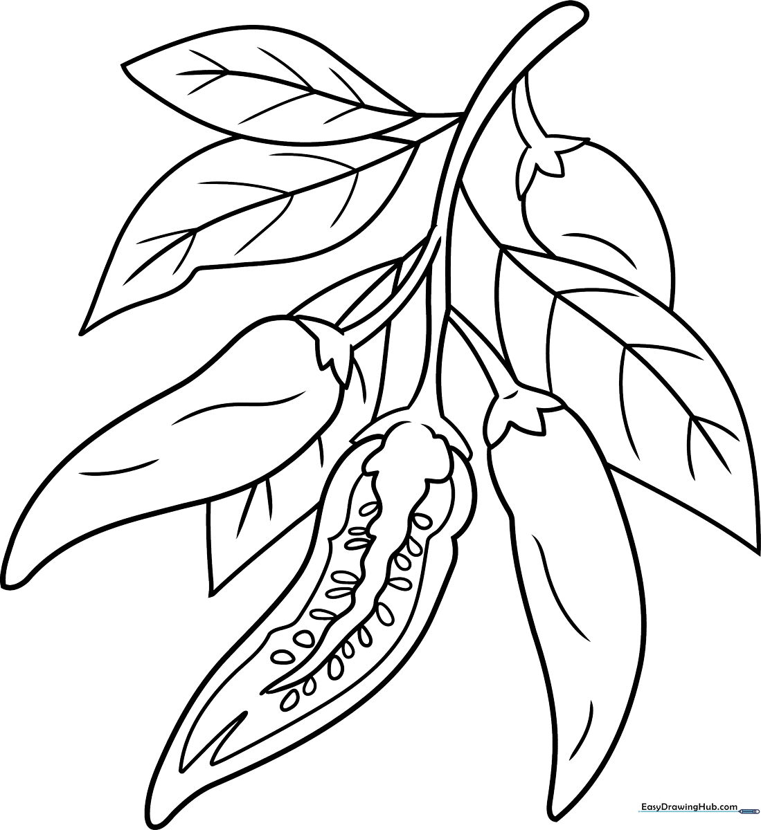 A simple, bold-lined cartoon chili pepper with a friendly face, perfect for children to color with crayons or markers.