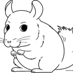 Black and white line art of a cute, fluffy chinchilla sitting upright, designed for children to color with markers or crayons.