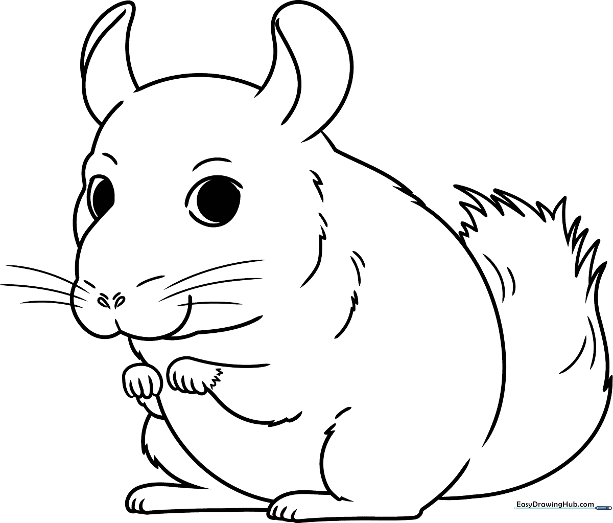Black and white line art of a cute, fluffy chinchilla sitting upright, designed for children to color with markers or crayons.