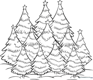 Black and white line art of a dense Christmas tree forest with varied tree sizes, perfect for children to color with holiday themes.