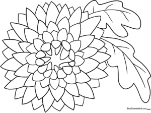 Black and white line art of a chrysanthemum flower with layered, rounded petals, designed for children to color.