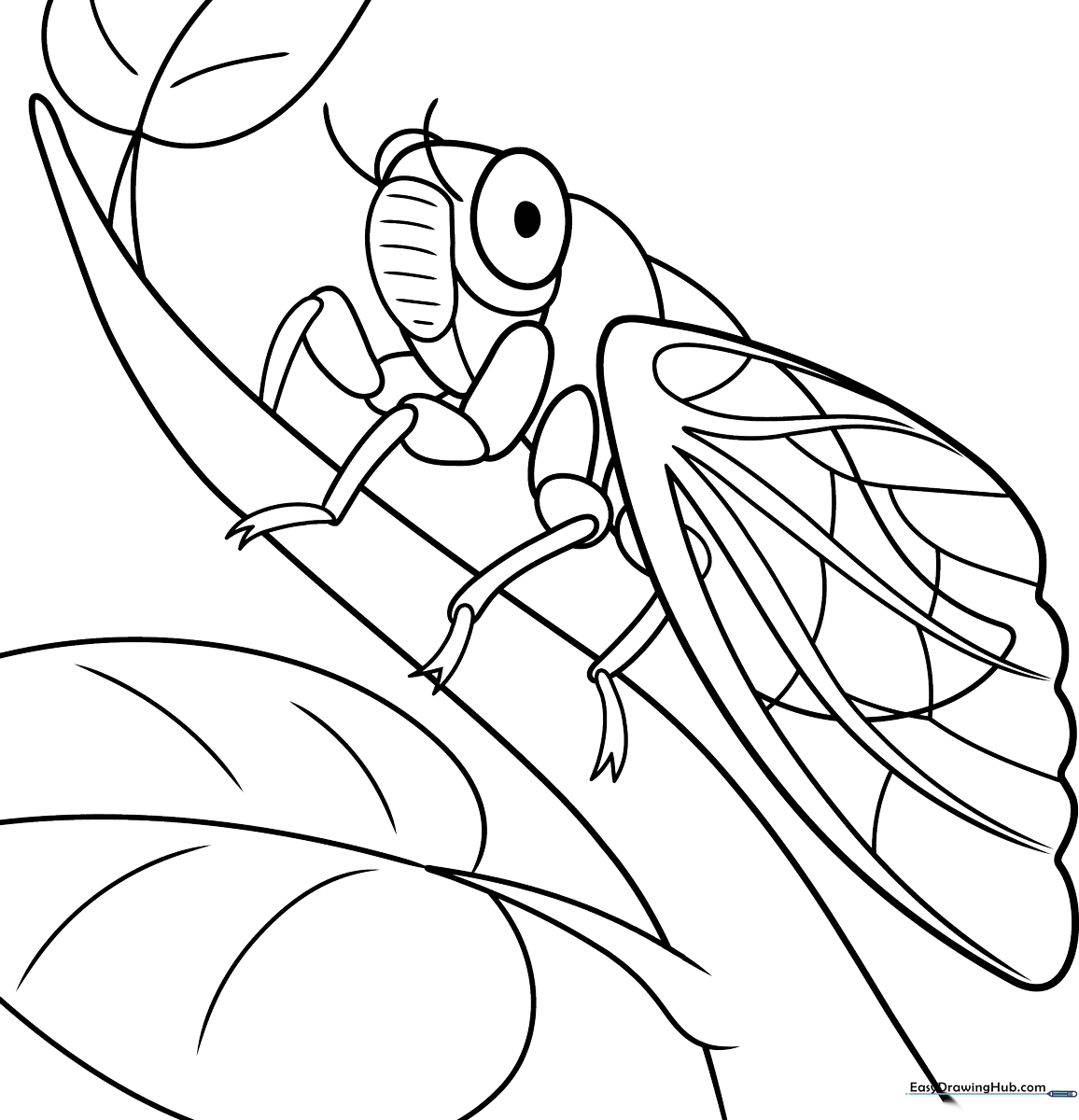 Black and white line art of a cicada with detailed wing patterns, designed as a coloring page for children to practice shading and insect anatomy.
