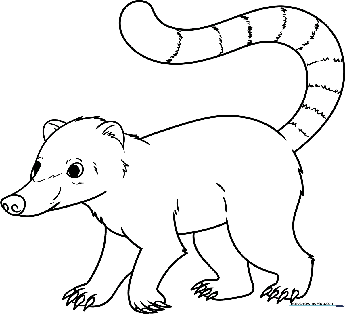 A friendly cartoon coati with a long striped tail, featuring bold outlines perfect for children to color with markers or crayons.