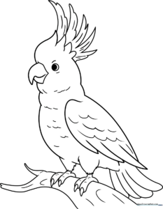 A friendly cartoon cockatoo with a prominent crest, featuring clean, thick black outlines on a white background for easy coloring.
