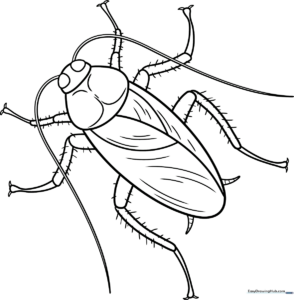 A friendly cartoon cockroach with large antennae and segmented legs, outlined in bold black lines on a white background for easy coloring.