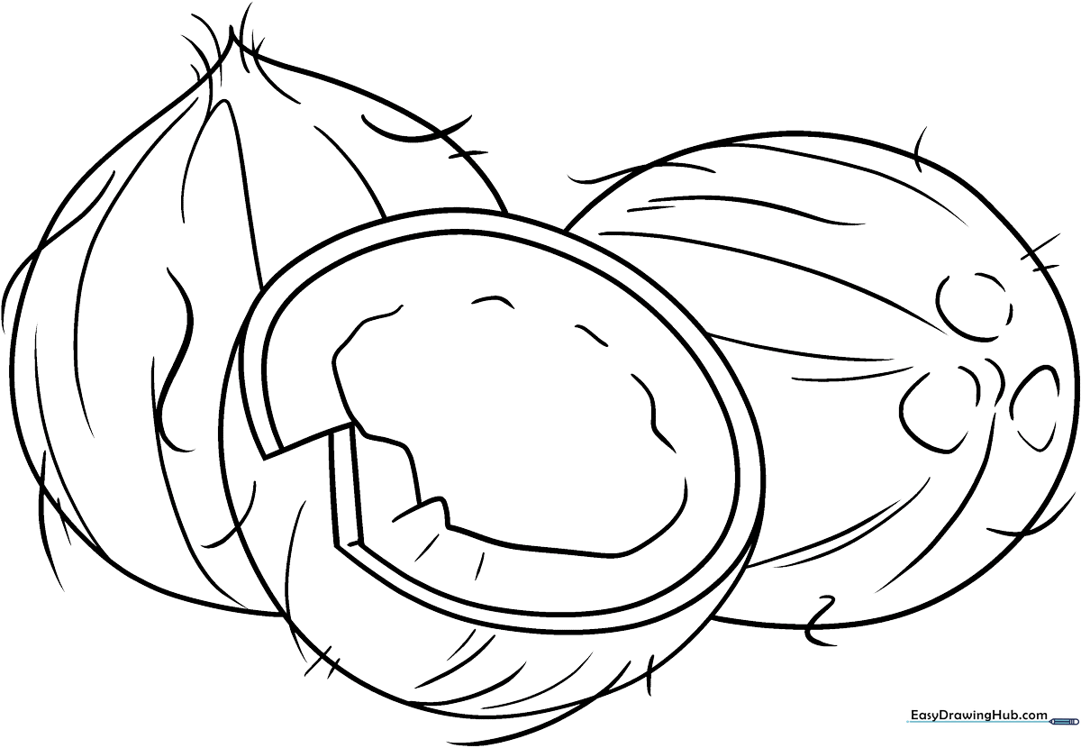 Black and white line art of a whole coconut with three distinct eyes, ready for children to color with crayons or markers.