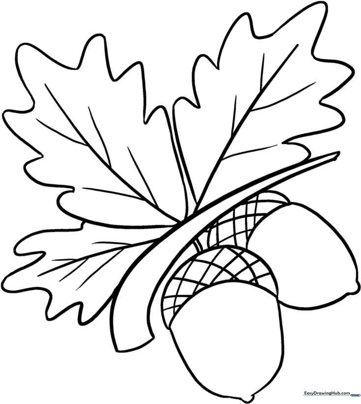 Autumn Acorns