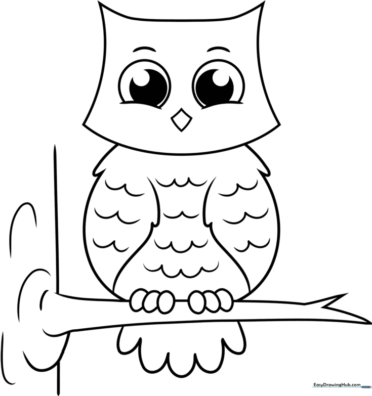 Cartoon Owl