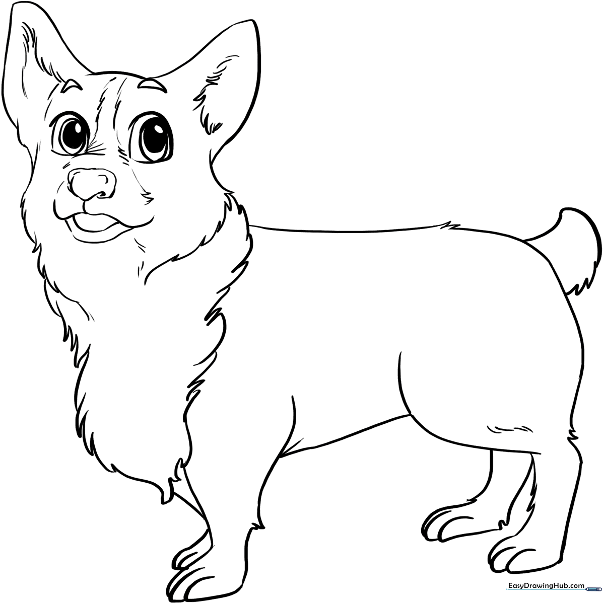 A friendly Corgi with large ears and a happy expression, featuring clean, thick outlines for easy coloring by children.