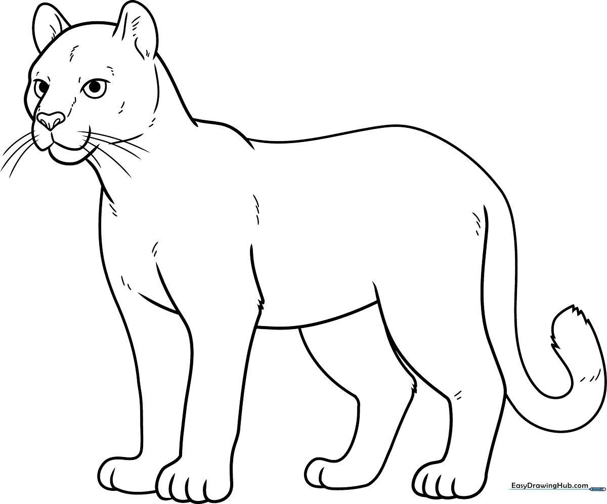 Detailed line art of a cougar standing in profile, featuring clear outlines for easy coloring by children.