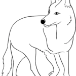 Black and white line art of a friendly cartoon coyote standing, featuring clear outlines for easy coloring by children.