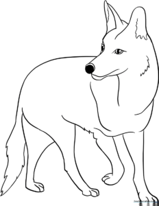 Black and white line art of a friendly cartoon coyote standing, featuring clear outlines for easy coloring by children.