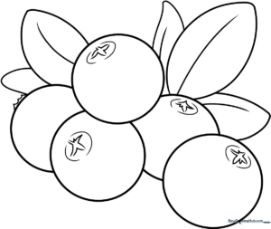 Black and white line art of a single cranberry with a small stem and leaf, designed for children to color.