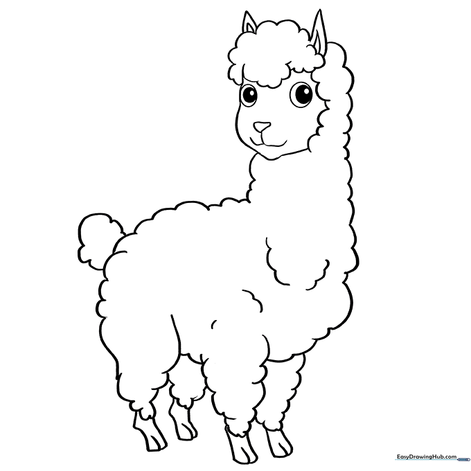 Llama