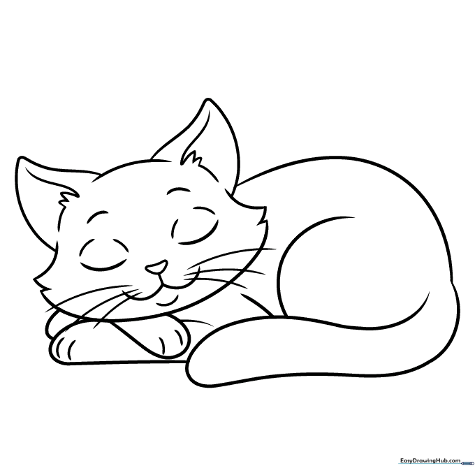Simple Sleeping Cat