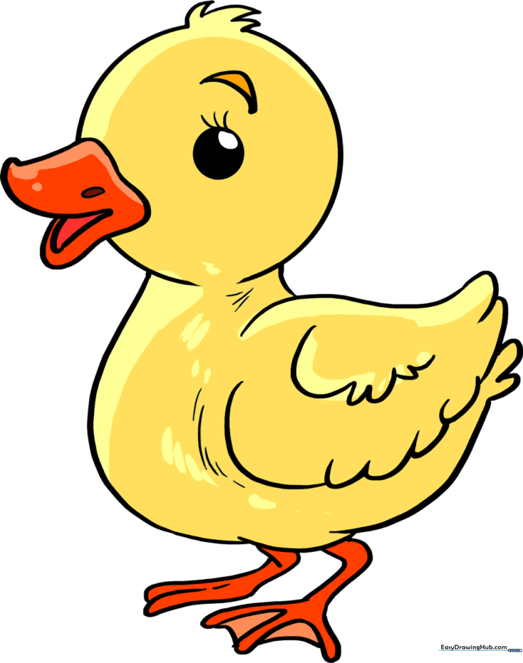 Waddling Baby Duck
