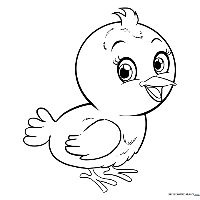 Fluffy Baby Bird