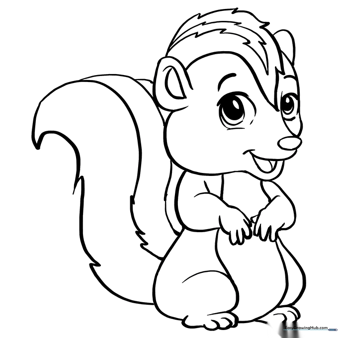 Cute Skunk
