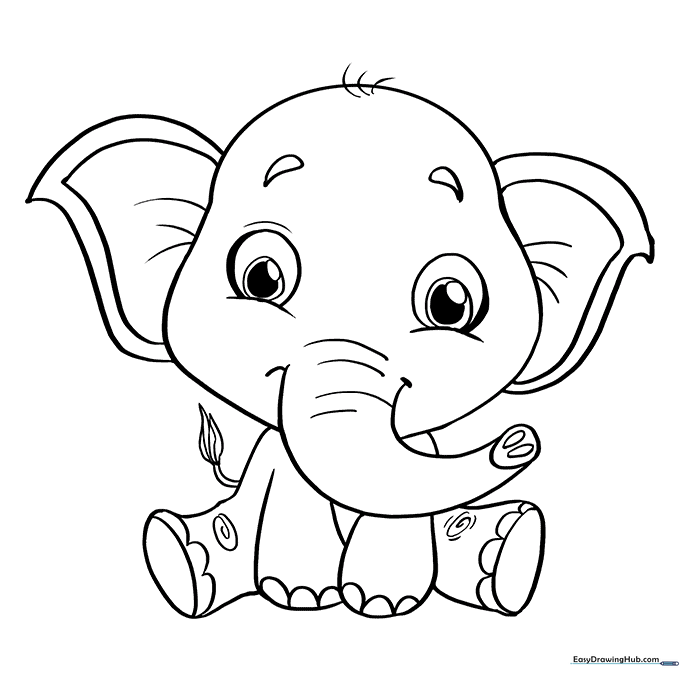 Baby Elephant