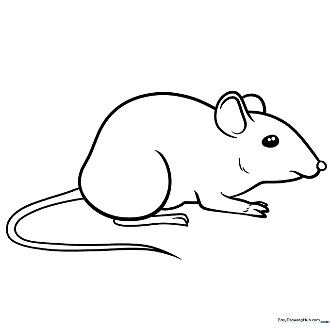 Mouse Coloring Page