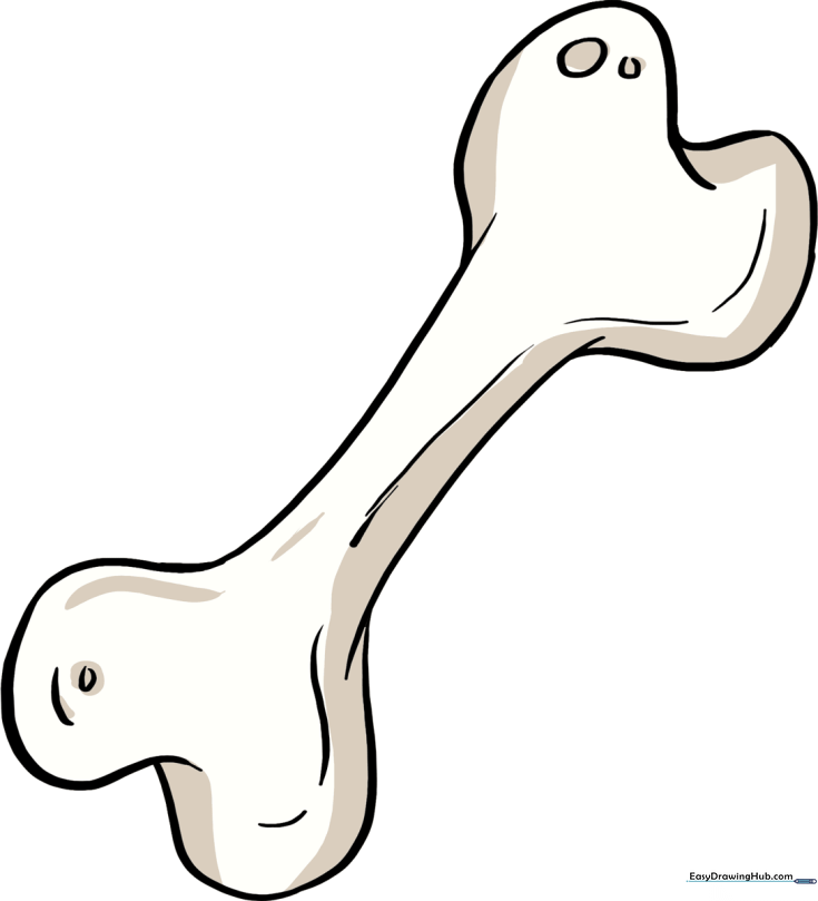 Dog Bone