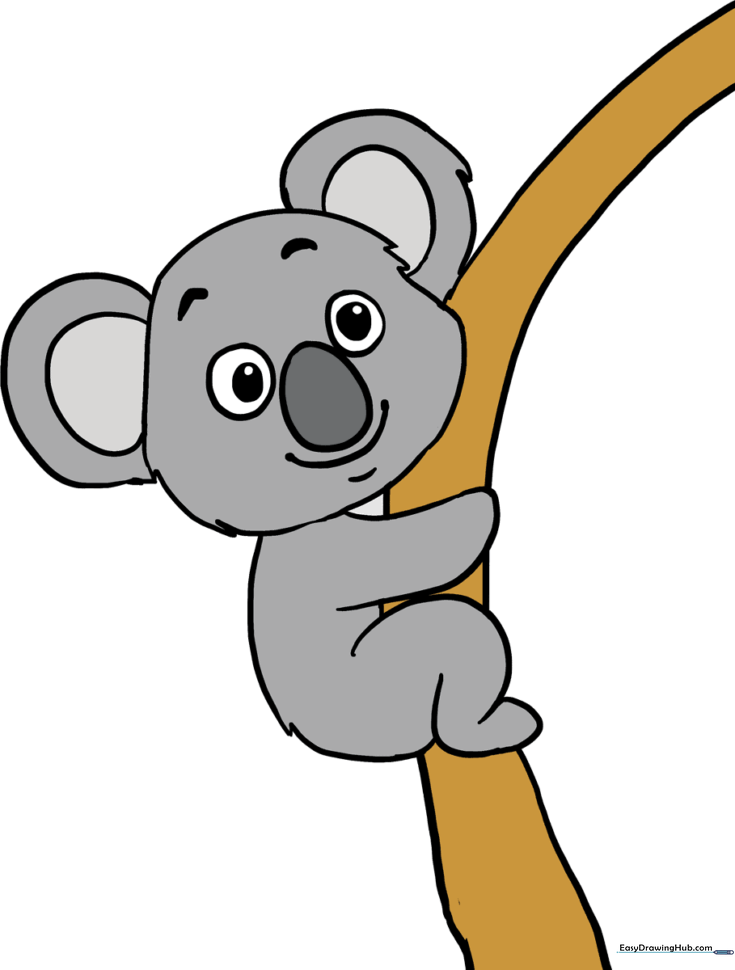 Koala
