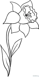 Black and white line art of a single daffodil flower with a trumpet center and long, slender leaves, ready for coloring.