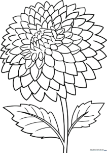Black and white line art of a dahlia flower with symmetrical, layered petals ready for coloring.