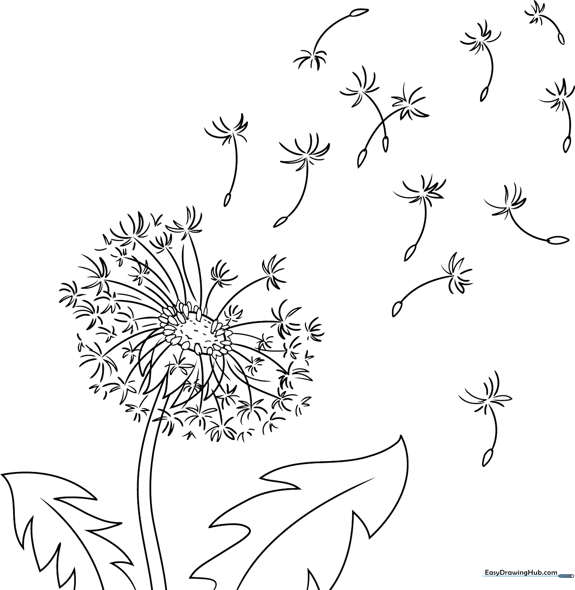 Detailed line art of a dandelion puff with radiating seeds, perfect for children to color with markers or crayons.